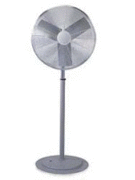 20" Fan
