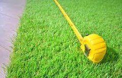 Yard Assessment (Call office)